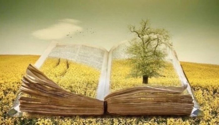 Что такое метод канбан — Как это работает в жизни