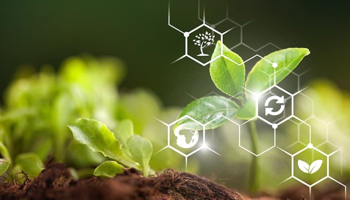Uses of Big Data in Agriculture