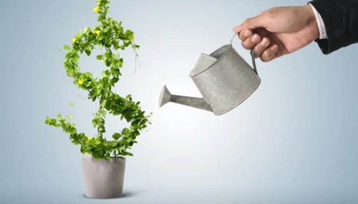 Что такое прибыль предприятия: определение и виды, формулы расчета