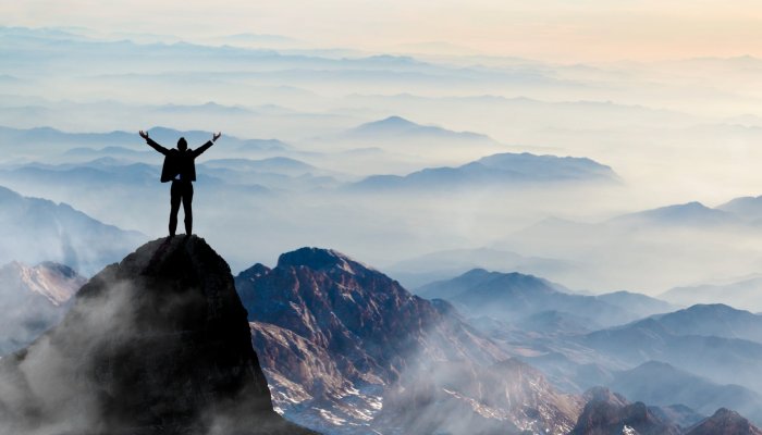 Top 5 Tips to Become a Top Performer at Any Company