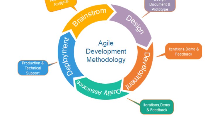 The 5 Principles of Agile Software Development Methods