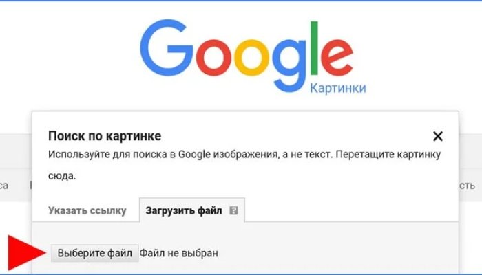 Быстрый поиск по картинке в интернете: подробная инструкция
