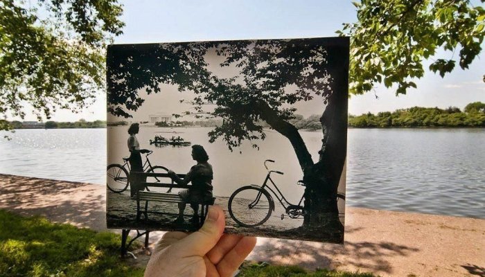 Почему раньше было лучше, чем сейчас — синдром Утенка
