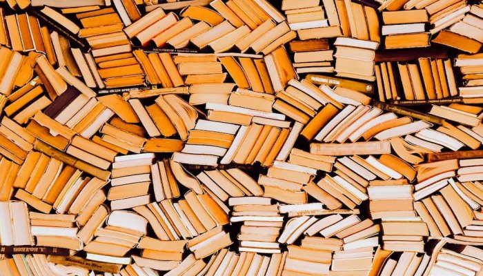 If You Read a Lot of Fiction, Scientists Have Very Good News About Your Brain