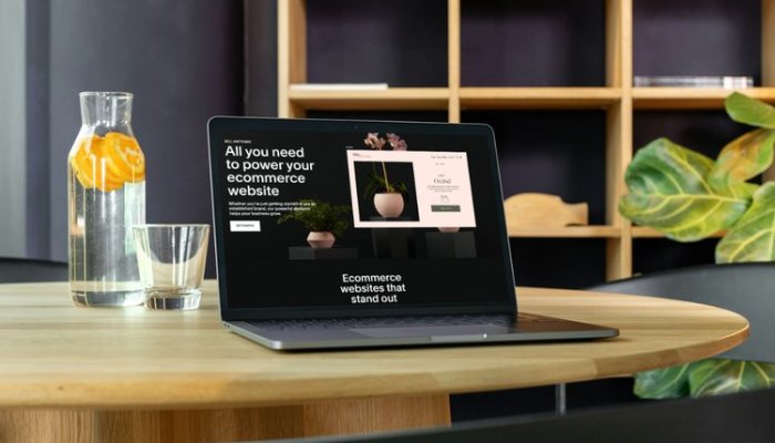 How Squarespace Supports eCommerce Businesses?