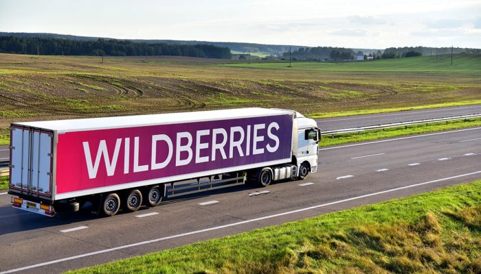 Что продавать на Wildberries — самые продаваемые товары и как их находить