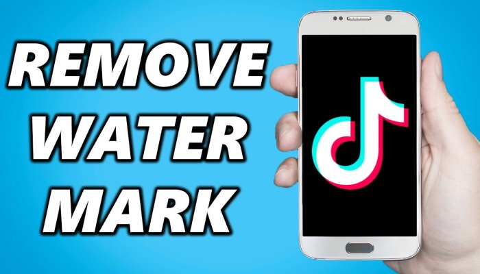 How to Remove a Watermark from a TikTok Video