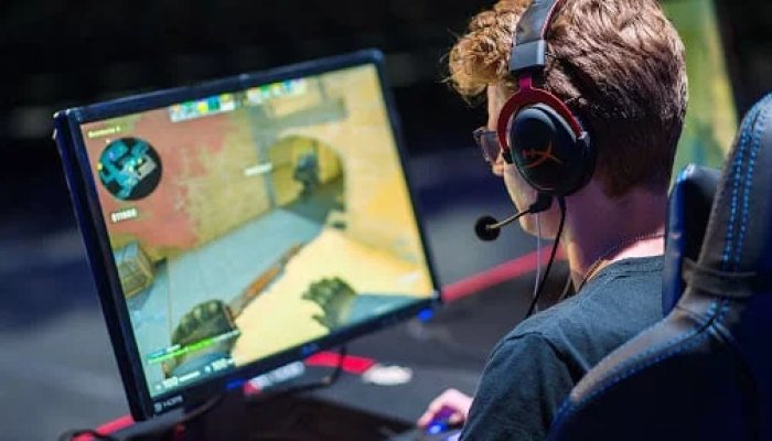 Online Gaming Fraud Identification