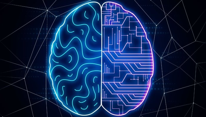 Machine Learning and AI: The Mystery Isn’t solved yet