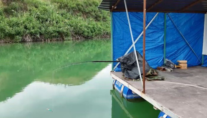 GoFish: Kazakhstan Startup Lets You Fish Remotely from Your Phone