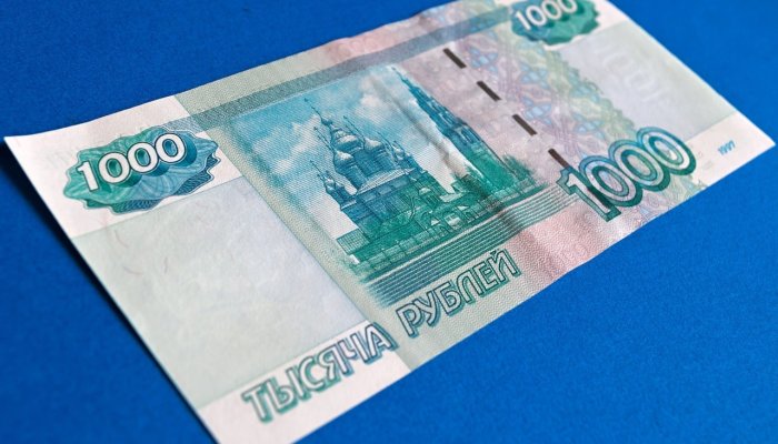 Как прожить на тысячу рублей в неделю