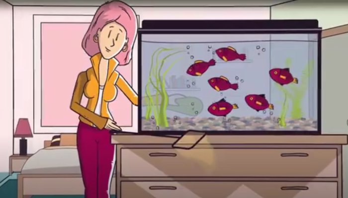 Свяжитесь с нами в Telegram: https://t.me/quasachats