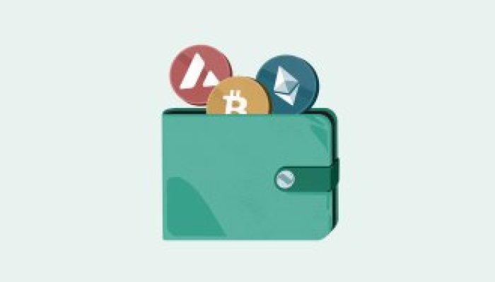 What are The Digital Wallets and Their Types?