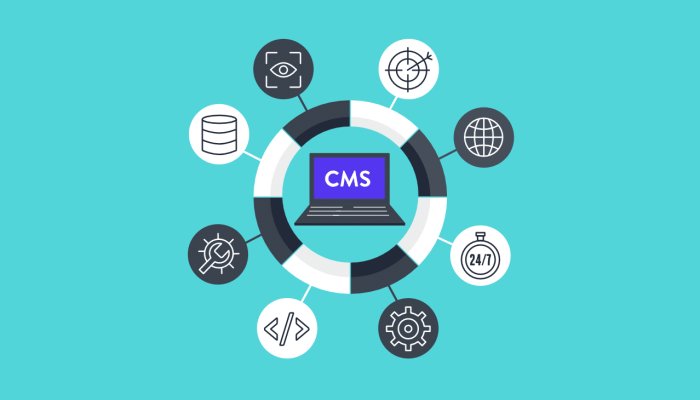 How The Content Management Systems (CMS) Changed The Way Of Doing Business
