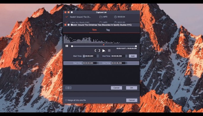 TunesKit Audio Capture Review