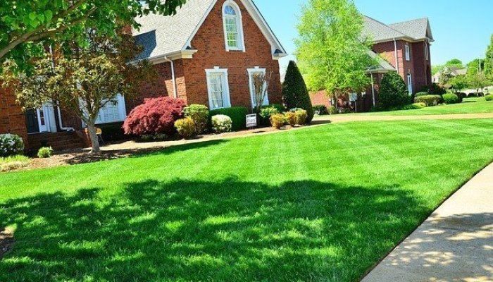 SEO for Landscapers