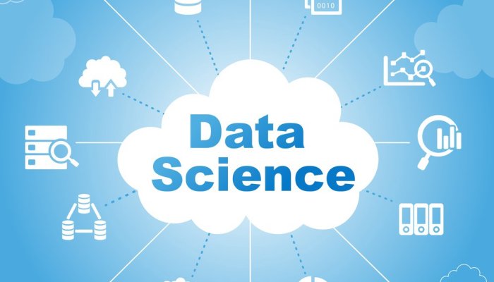Data Scientist Roles & Responsibilities