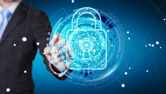 How to Protect Your Digital Investment in 2025