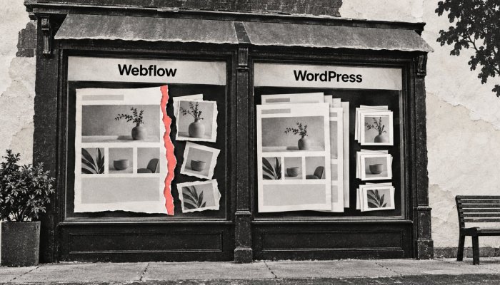 Webflow vai WordPress: ērtāka uzturēšana var maksāt ar piesaisti platformai