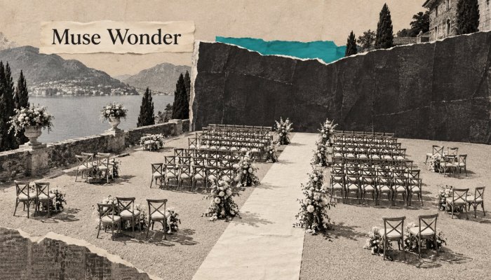 Meta推出Muse Wonder:模型已可调用,开放权重仍未承诺