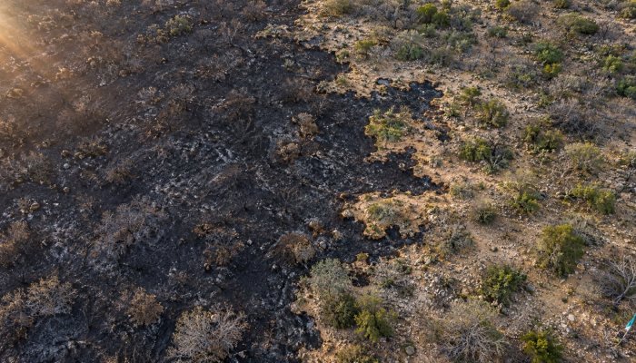 SIM-Biomas recebe R$ 147,6 milhões — alertas de fogo vão a 30 metros