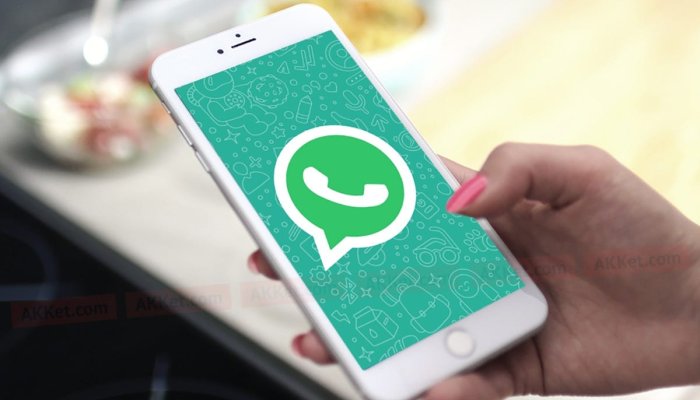 WhatsApp: что это такое, как установить и пользоваться им на телефоне