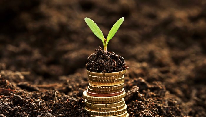 How to Maximize Your Savings Rate – 12 Tips to Save Money
