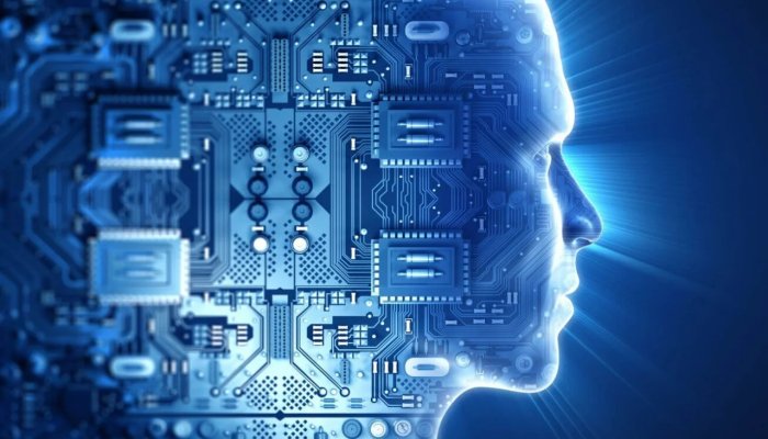 The Importance of Information Technology in Business Today