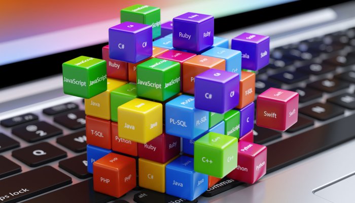 5 Best Fastest-Growing Programming Languages in Future