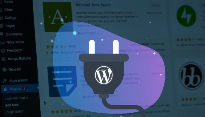 Best 7 WordPress Plugin Of All Time