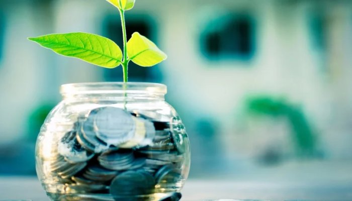 7 Ideas to Secure Your Financial Investments From Theft
