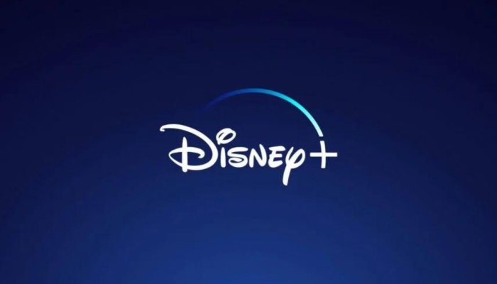 Disneyplus Login/Begin | How To active Your Disneyplus Account