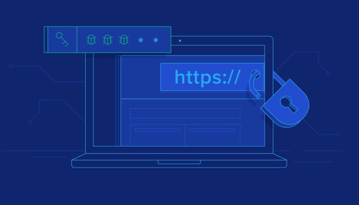 Top Vulnerabilities in Web Apps and Ways to Prevent Them