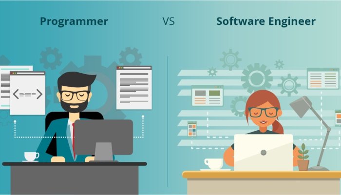 The Difference Between A Developer and Programmer