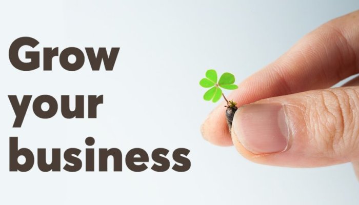 How to Grow The Business – Key Insights for Smooth Transition