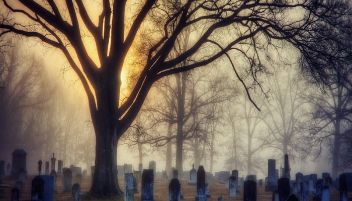 Man Busted Dumping Toxic Waste in Human Cemetery