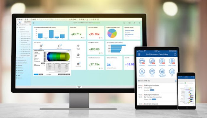 How SAP can help Small Businesses Succeed