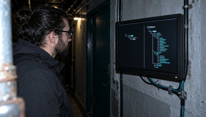 Docker ці Podman: хуткасць амаль роўная, але 29 МБ мяняюць выбар