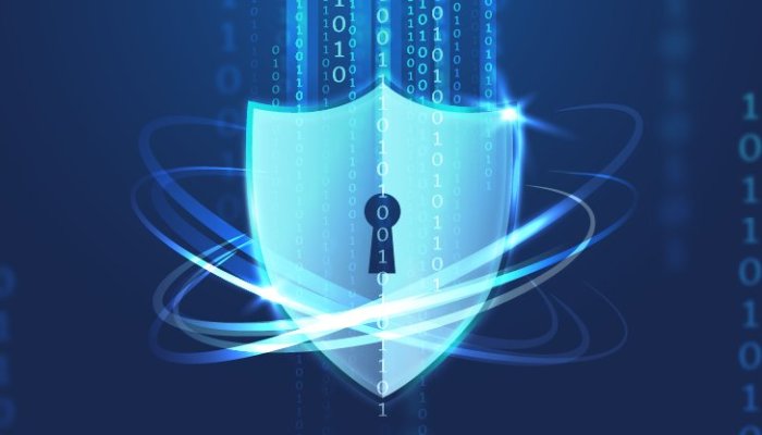 Data Encryption: Which Data Encryption Mechanism Should You Use?