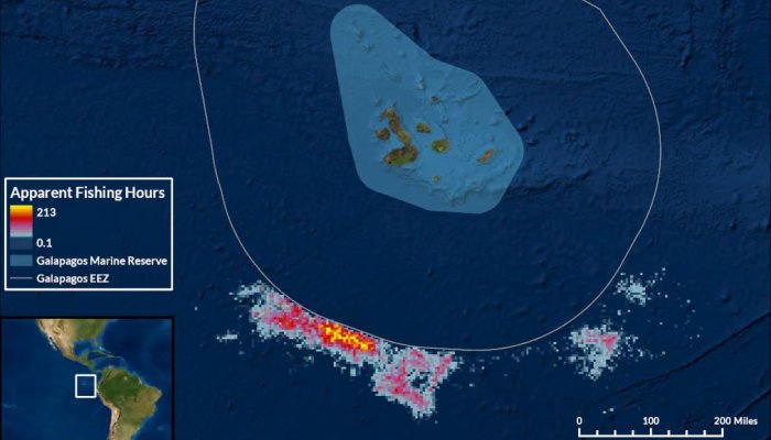 ? China's Shadow Fishing Fleet: The Hidden Global Crisis