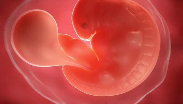 Super-Expensive Startup “Screening” Parents’ Embryos for IQ