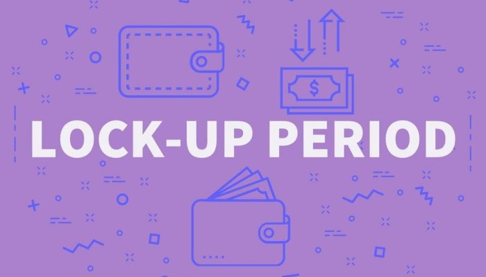 Lock-up период – что это такое, сколько длится и как инвестору обойти временные ограничения
