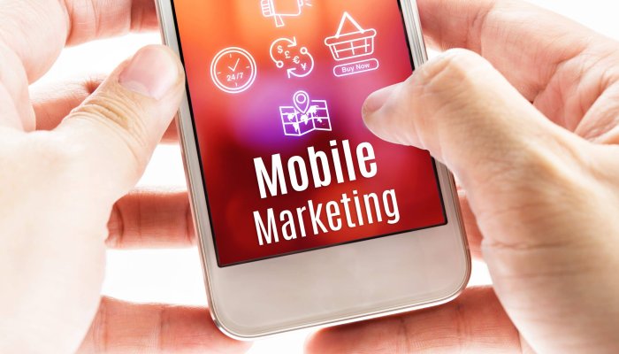 The Ultimate Need of Mobile Marketing in Business