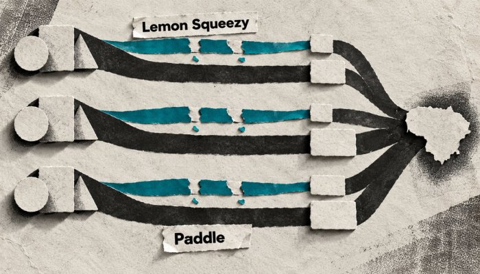 „Lemon Squeezy“ ar „Paddle“: vienodas tarifas slepia papildomus mokesčius