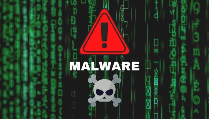 Everything You Need to Know About Malware
