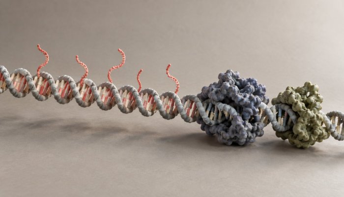 Claude znalazł układ podobny do CRISPR, ale jego funkcja pozostaje zagadką