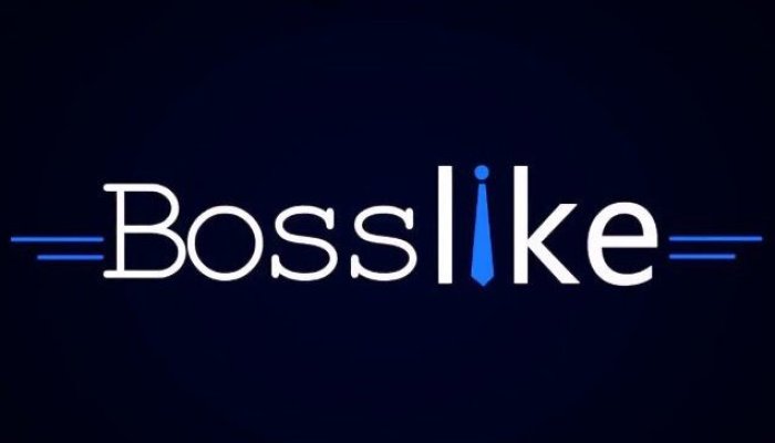 Bosslike: обзор сервиса накрутки + как настроить