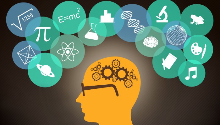 Как научиться запоминать информацию быстро и надолго