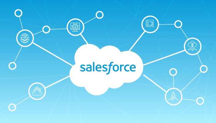 What Exactly Does Salesforce Do?