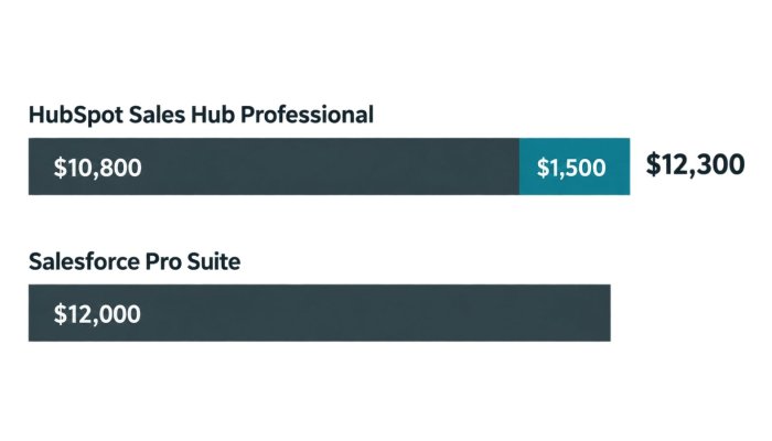HubSpot თუ Salesforce: თანაბარ ფასს დანერგვის ხარჯი არღვევს
